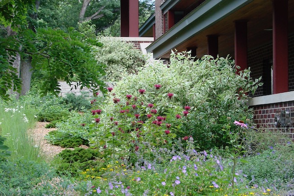 Hilltop House Prairie Savanna