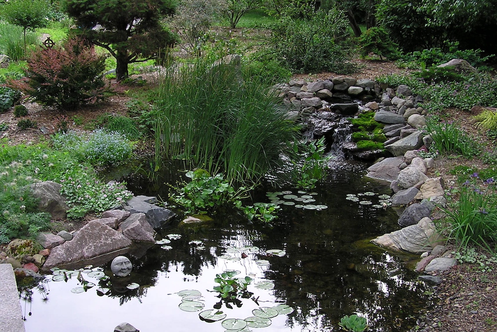 Services - Water and Rain Gardens | Hilscher Design & Ecology
