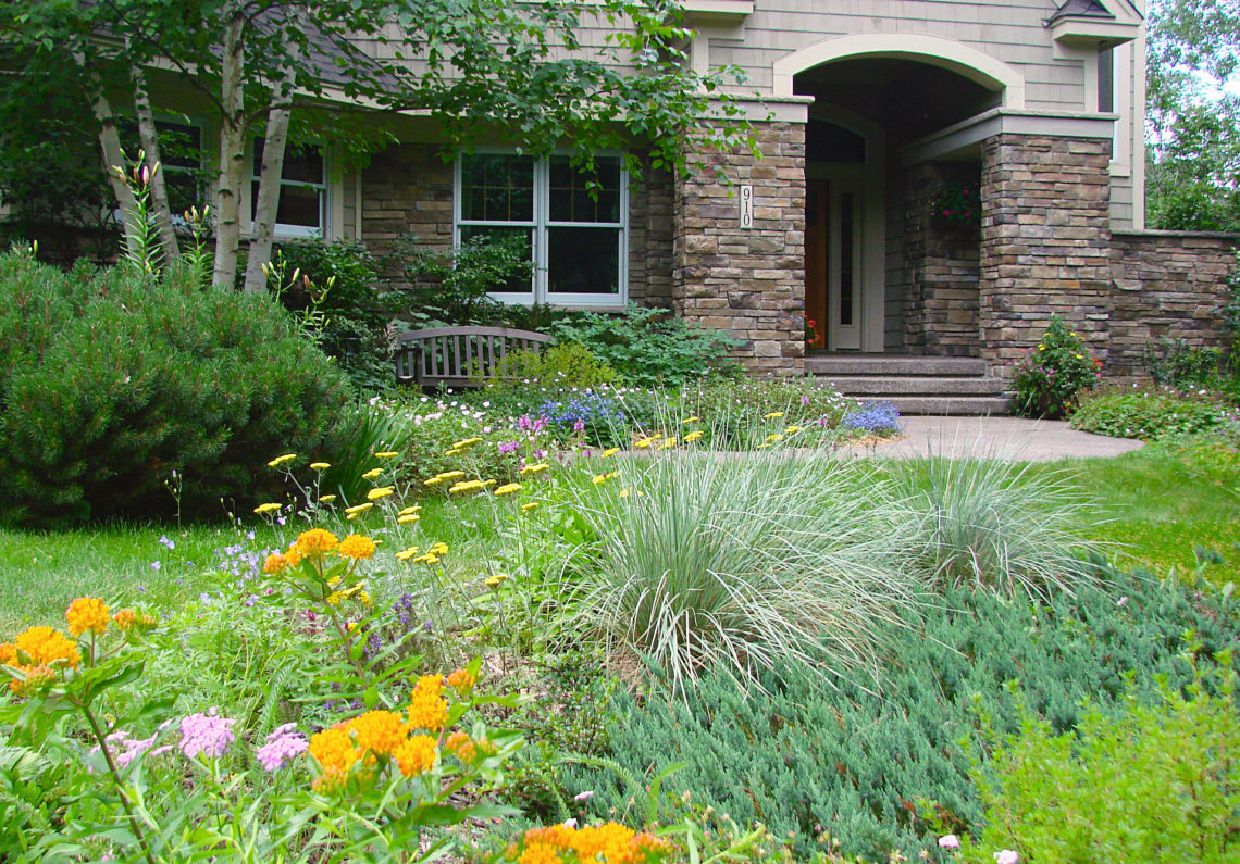 Naturalize Your Lanscape with Native Plants Minnesota