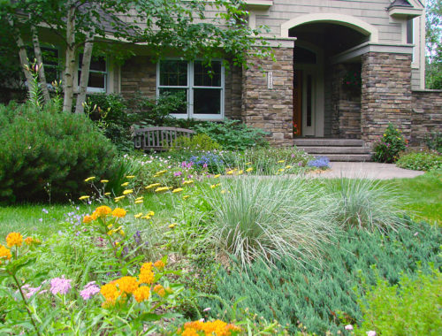 Naturalize Your Lanscape with Native Plants Minnesota